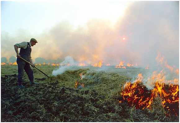 Stubble Burning