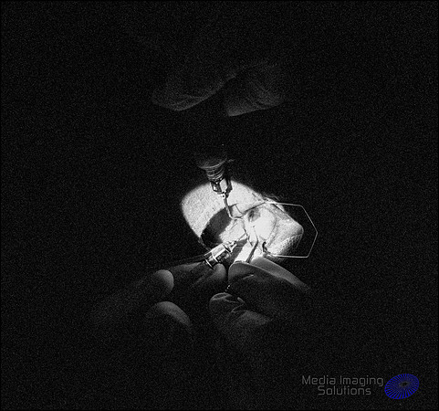 850_5031