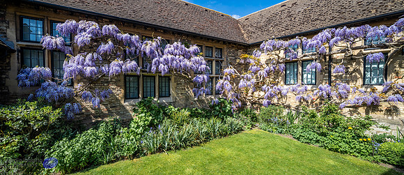 850_0692-HDR-Pano