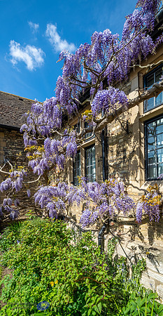 850_0722-HDR-Pano