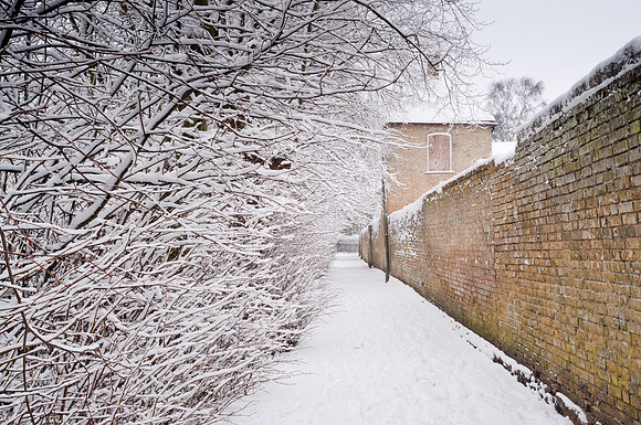 snow-scenes-25