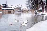 snow-scenes-17