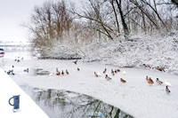snow-scenes-20