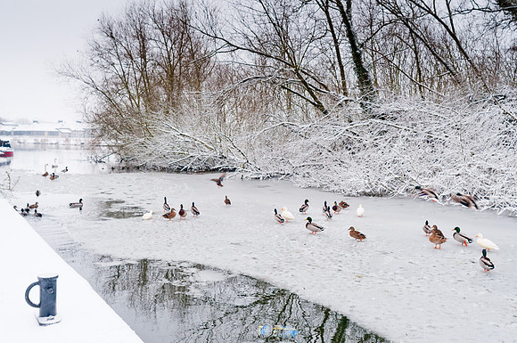 snow-scenes-20