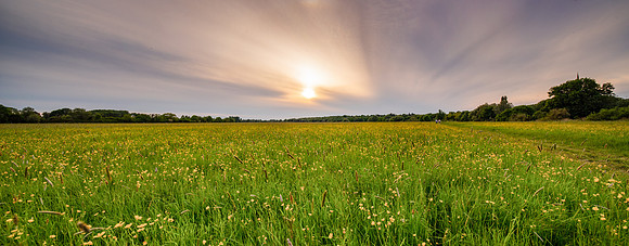 A27_6531-Edit